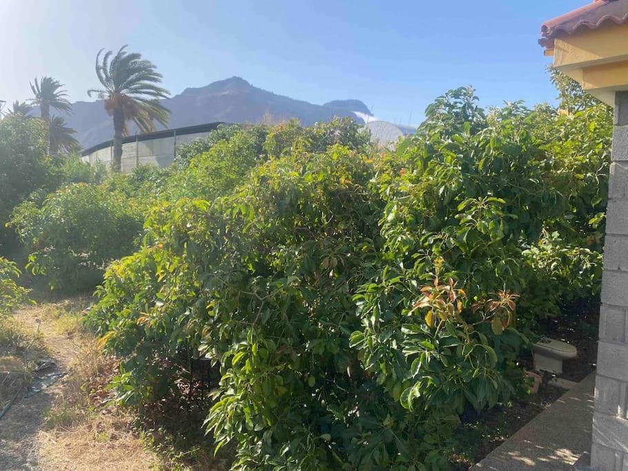 فيلا Casita Lily لاس بالماس دي غران كاناريا المظهر الخارجي الصورة